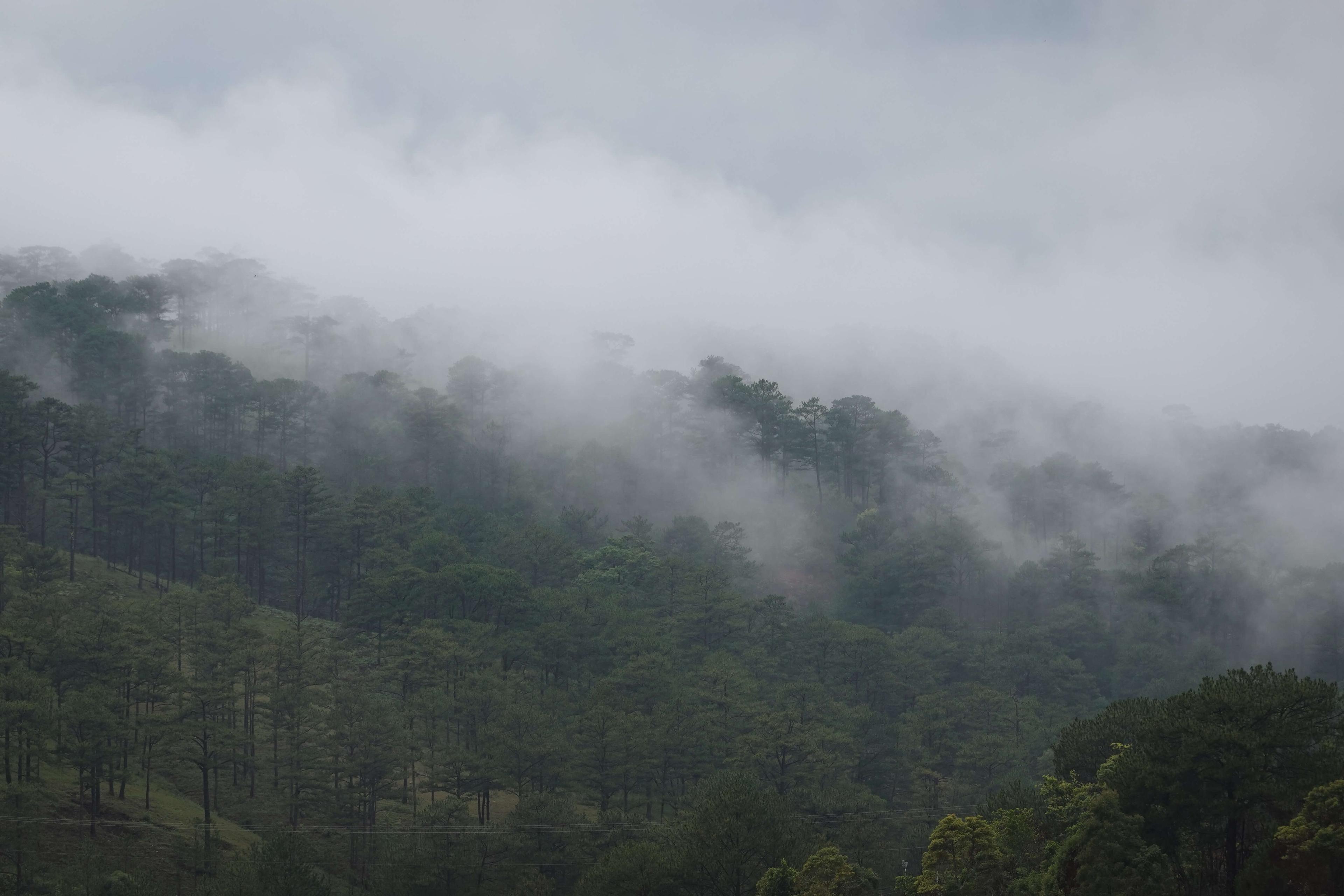 Da Lat - Viet Nam